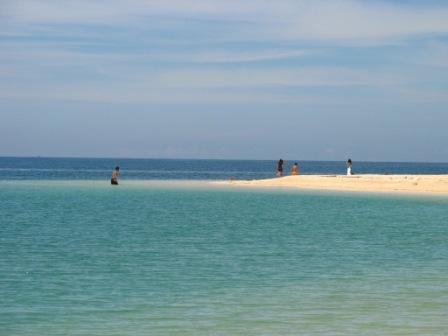 pandanisland